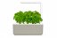 Click and Grow Smart Garden 3 mini domáca záhradka + 3ks kapsúl so semienkami bazalky, BÉŽOVÁ