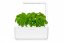 Click and Grow Smart Garden 3 mini domáca záhradka + 3ks kapsúl so semienkami bazalky, BIELA